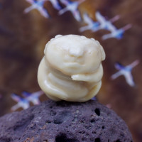 Нэцке Аксолотль